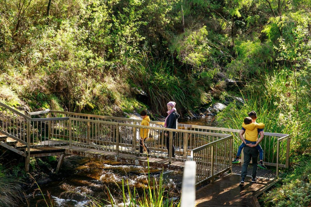 Rac Karri Valley Resort بيمبرتون المظهر الخارجي الصورة